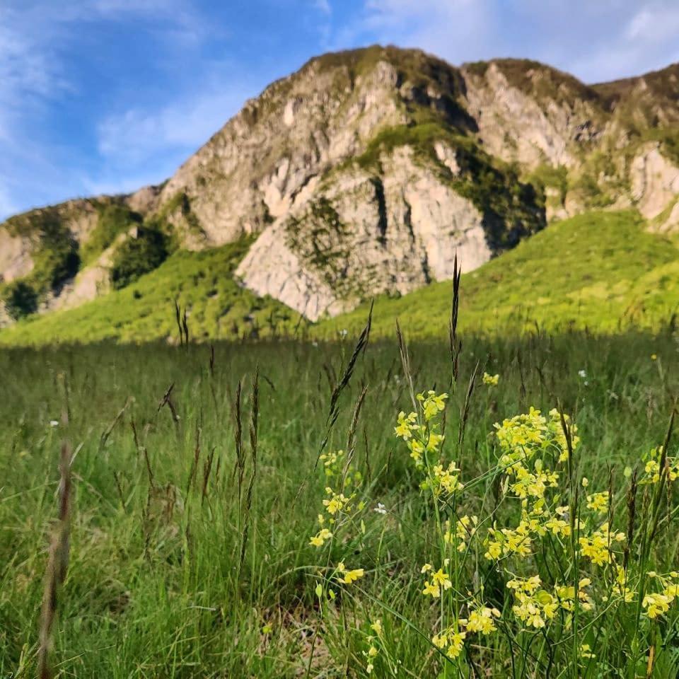 Ai Priori Aparthotel Gemona del Friuli Exteriör bild